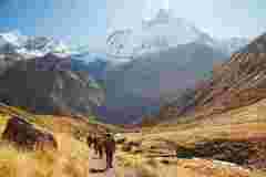 thumbs_annapurna-base-camp