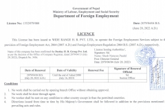 License-English-copy